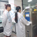 嚴格把控黄瓜视频在线下载精度圖片